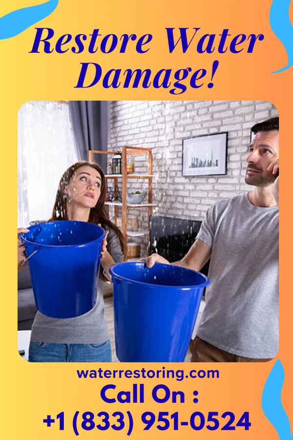 water restoration Pro Sewage Cleanup Co Novi