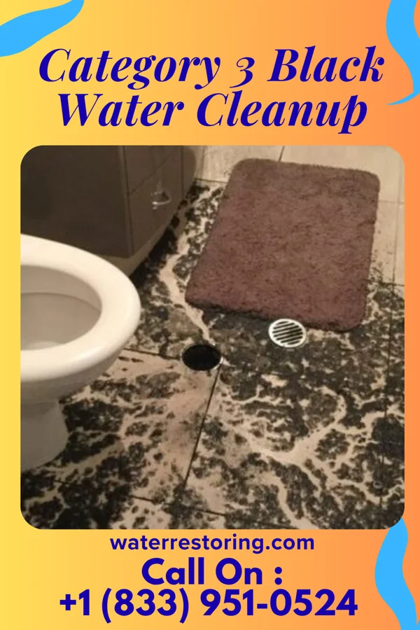 Category 3 Black Water Cleanup in Novi, MI