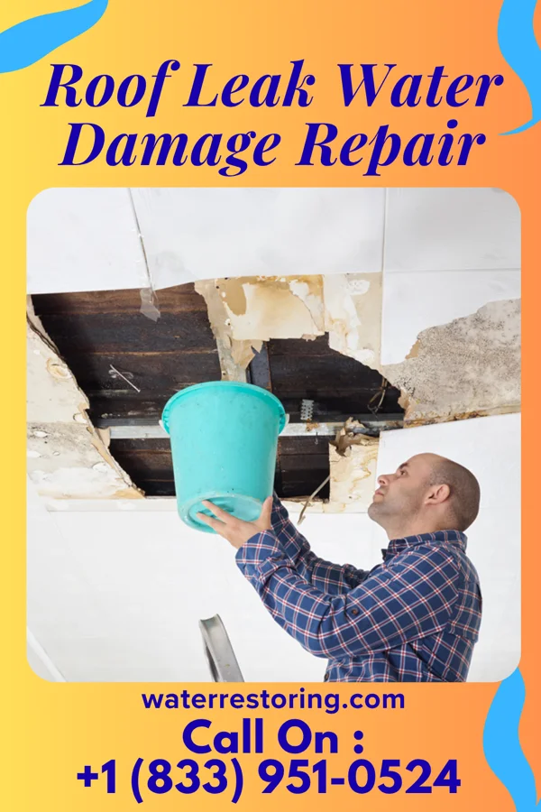 Roof Leak Water Damage Repair in Novi, MI