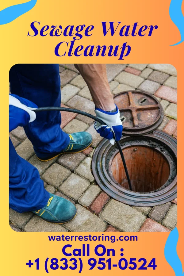 Sewage Water Cleanup in Novi, MI